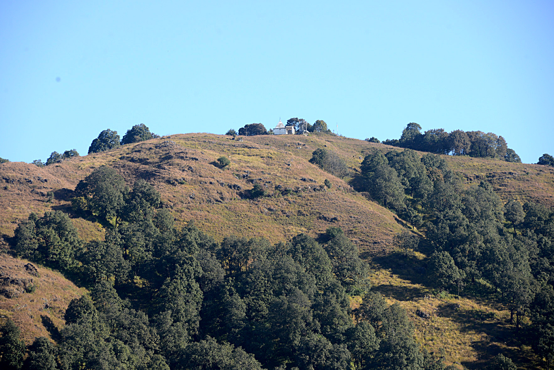 Benog Bird Sanctuary/Jwalaji Temple