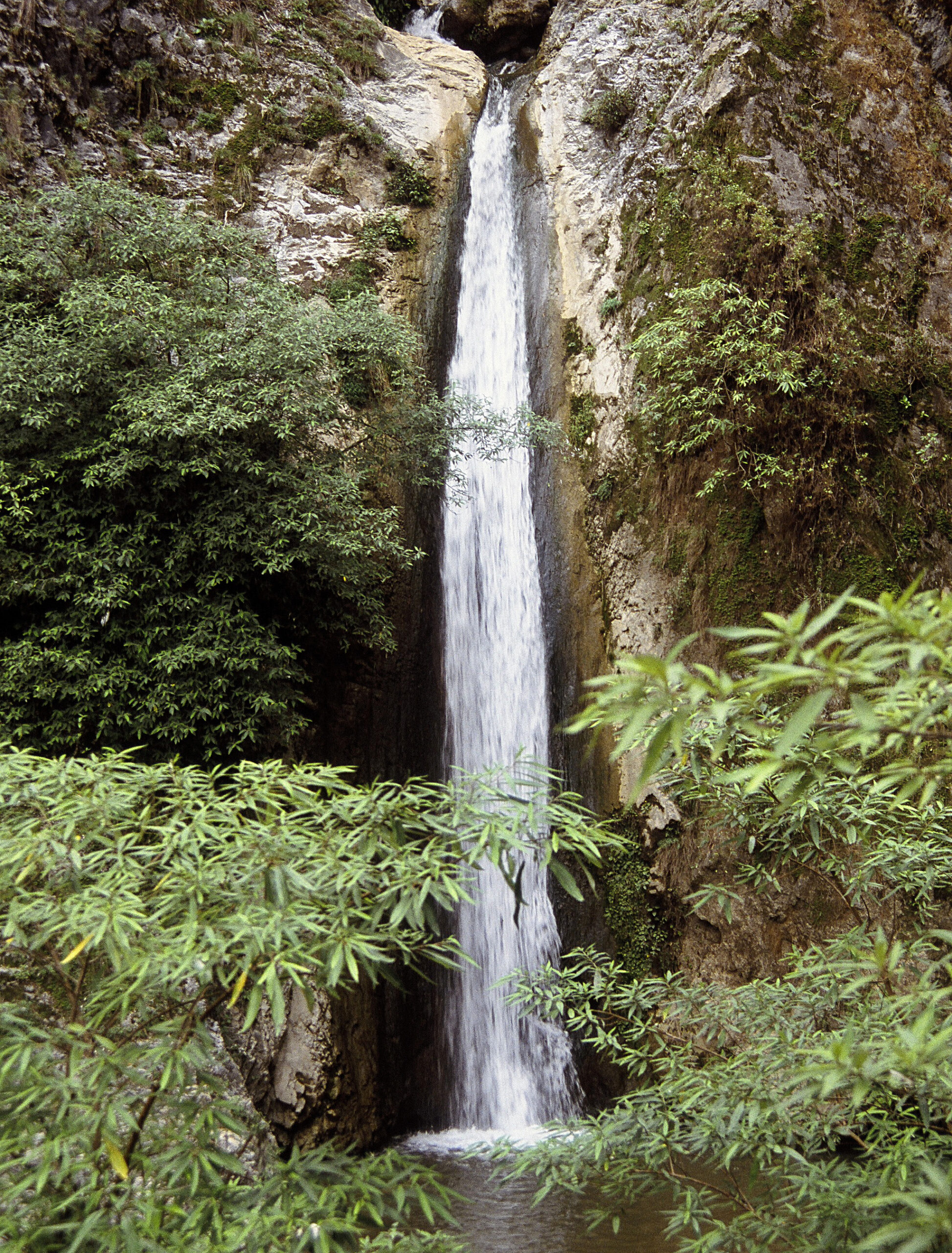 Jharipaani Fall